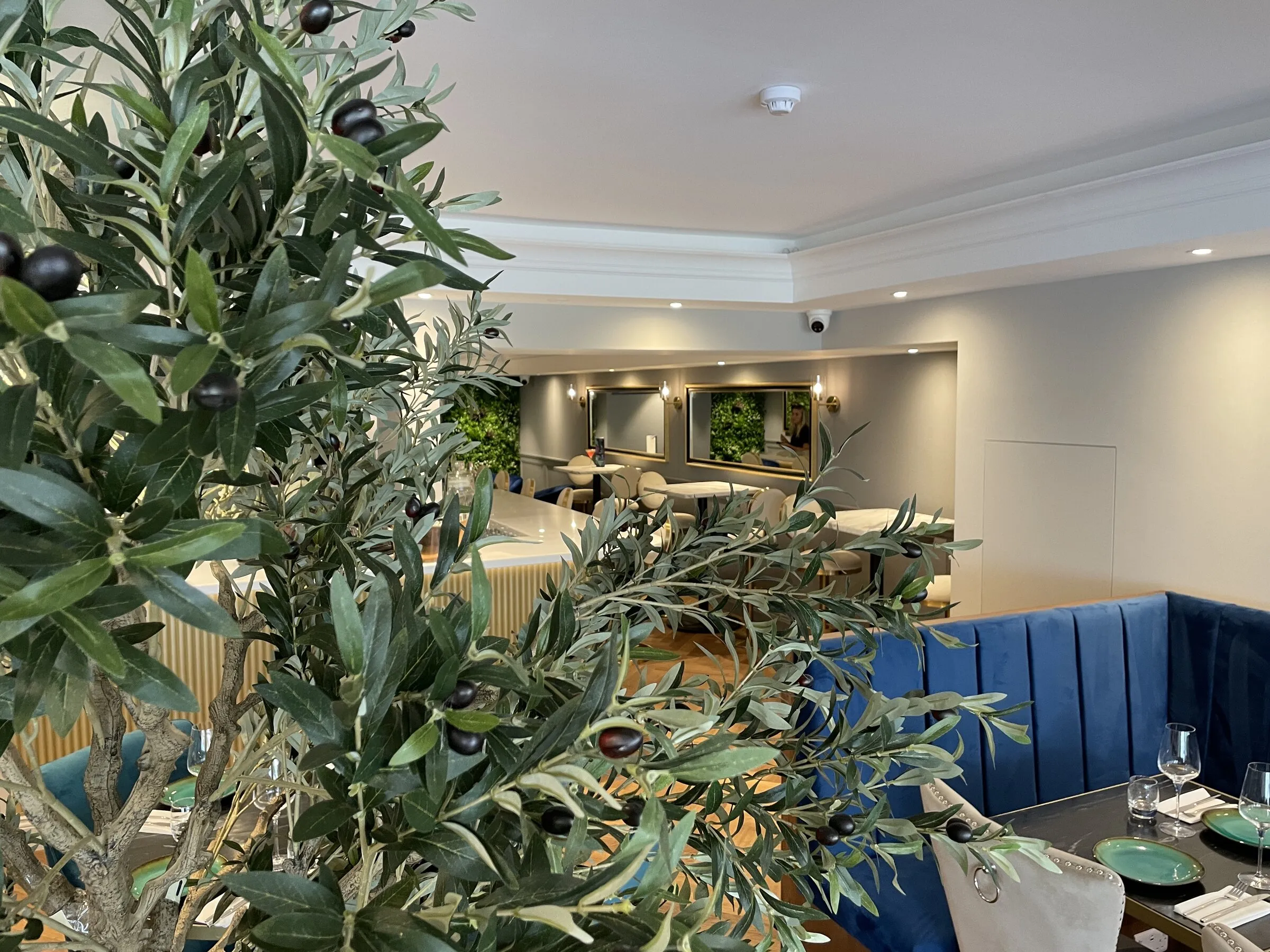 Set table in the main dining room, family-sized booth seating with an olive tree alongside